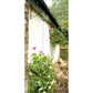 Draper 45419 Hanging Basket Up & Down Chain - Make Watering Baskets Easier