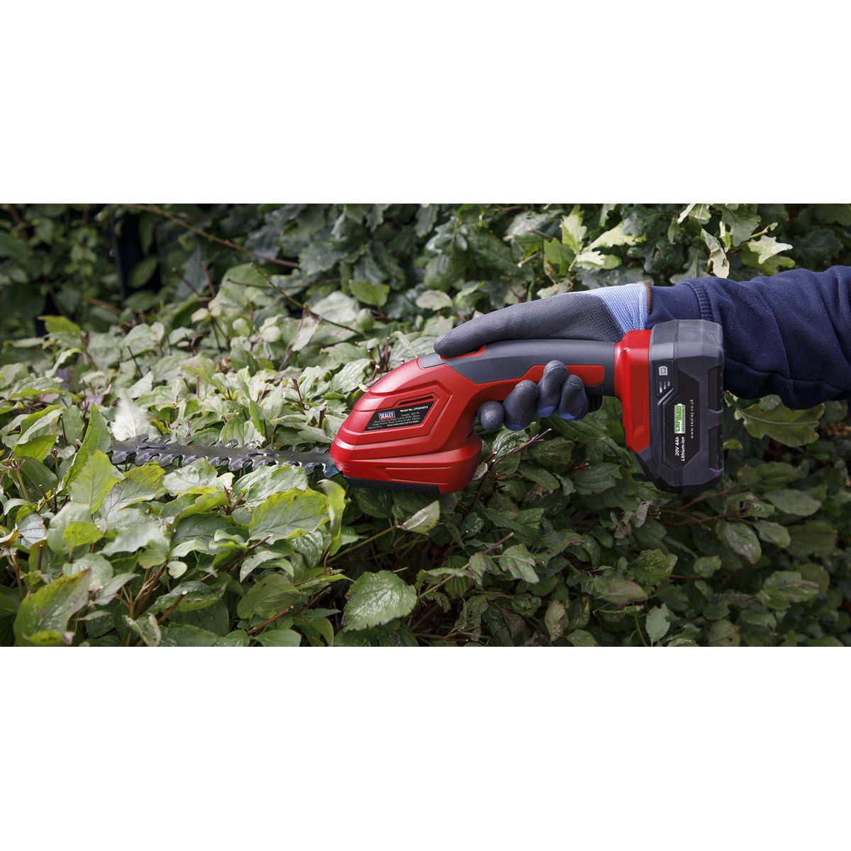 Sealey 2 x 20V SV20 Series Gardening/Pruning Cleaning Combo Kit CP20VCOMBO14