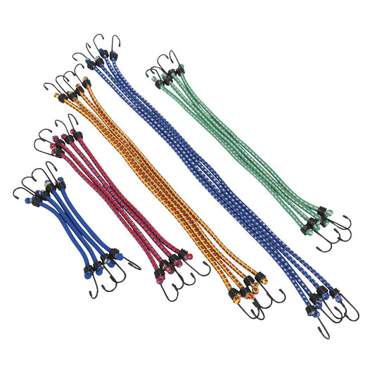 Sealey Elastic Cord Set 20pc BCS20