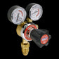 Sealey Acetylene Regulator SGA40