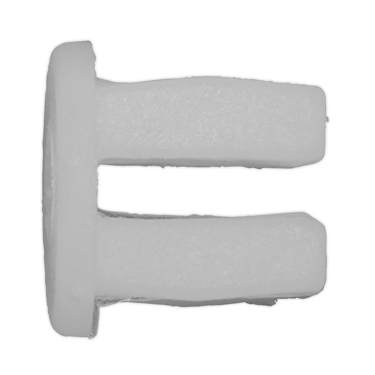 Sealey Locking Nut, 10mm x 10mm, Universal - Pack of 20 TCLN1010U