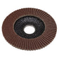 Sealey Flap Disc Aluminium Oxide 100mm 16mm Bore 80Grit FD10080E