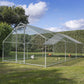 Dellonda 3x6x2m Walk-In Chicken Run, Galvanized Steel, Roof Cover, PVC Coated Chicken Wire DG280