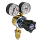 Sealey Oxygen Regulator SGA30