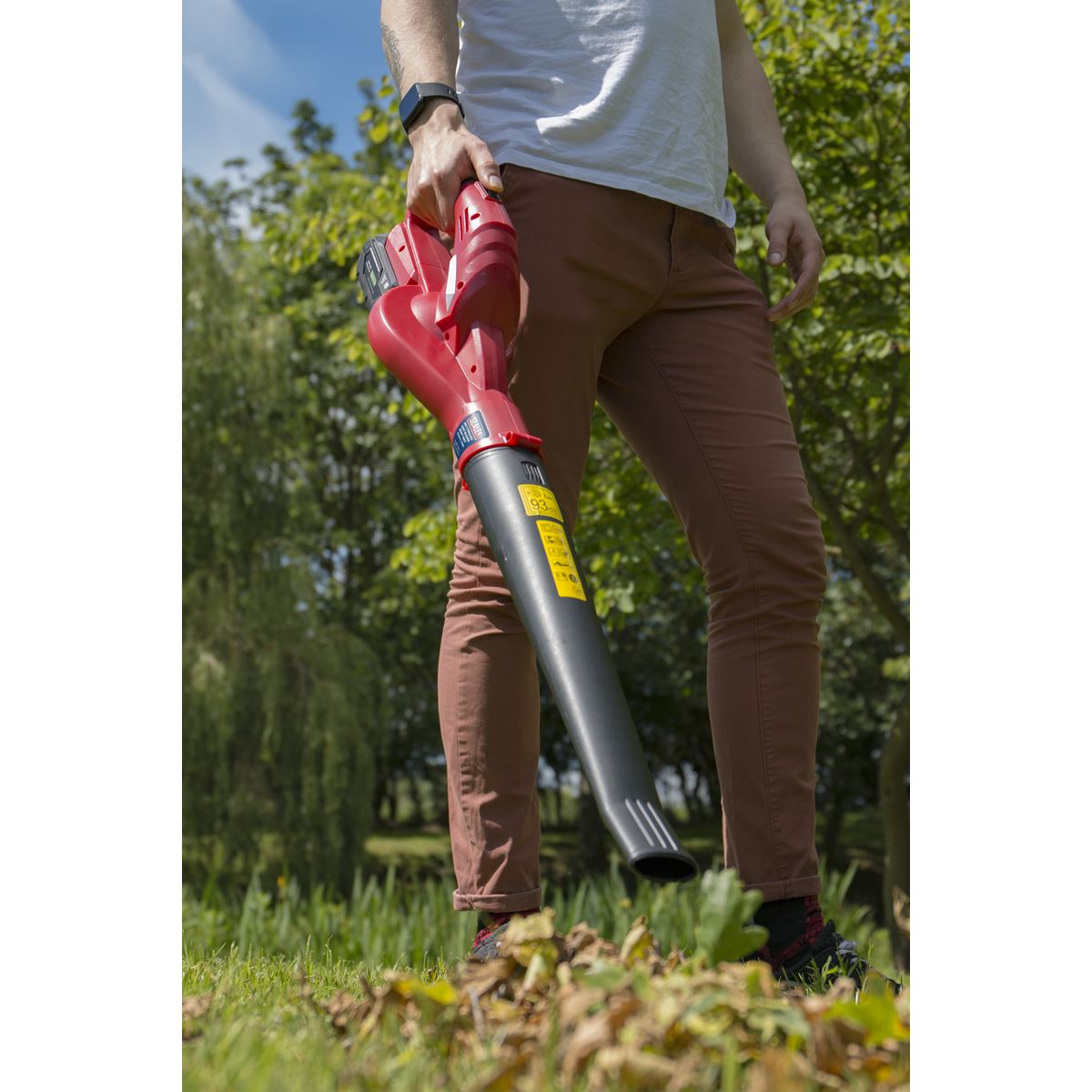 Sealey Leaf Blower Cordless 20V - Body Only CB20V