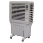 Sealey Commercial Portable Air Cooler SAC125