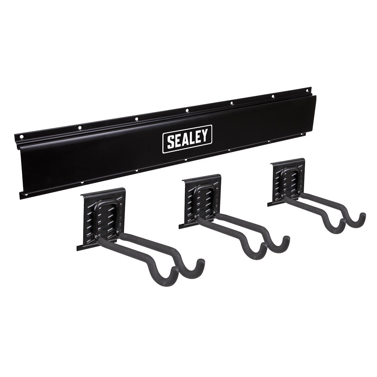 Sealey Sports Equipment Hook Storage Rail Wall Mounting APHKIT11