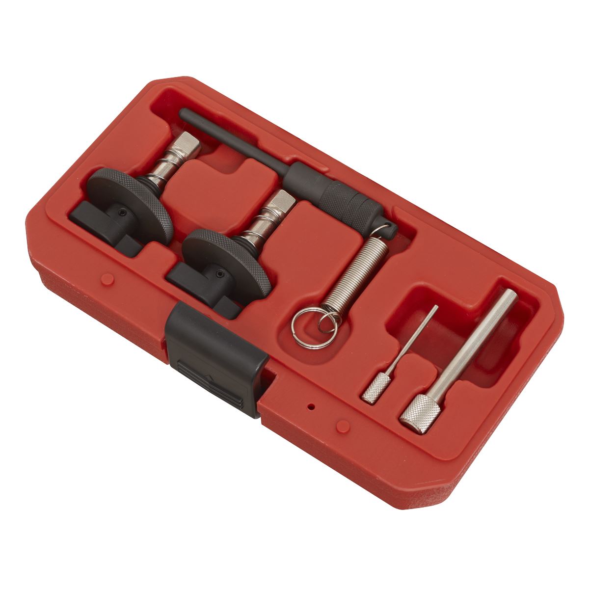 Sealey Die Eng Timing Tool Kit - for Alfa Romeo, Fiat, Ford - Chain VSE5881A