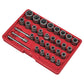 Sealey Slim Design Bolt & Nut Extractor Set 32pc AK8132