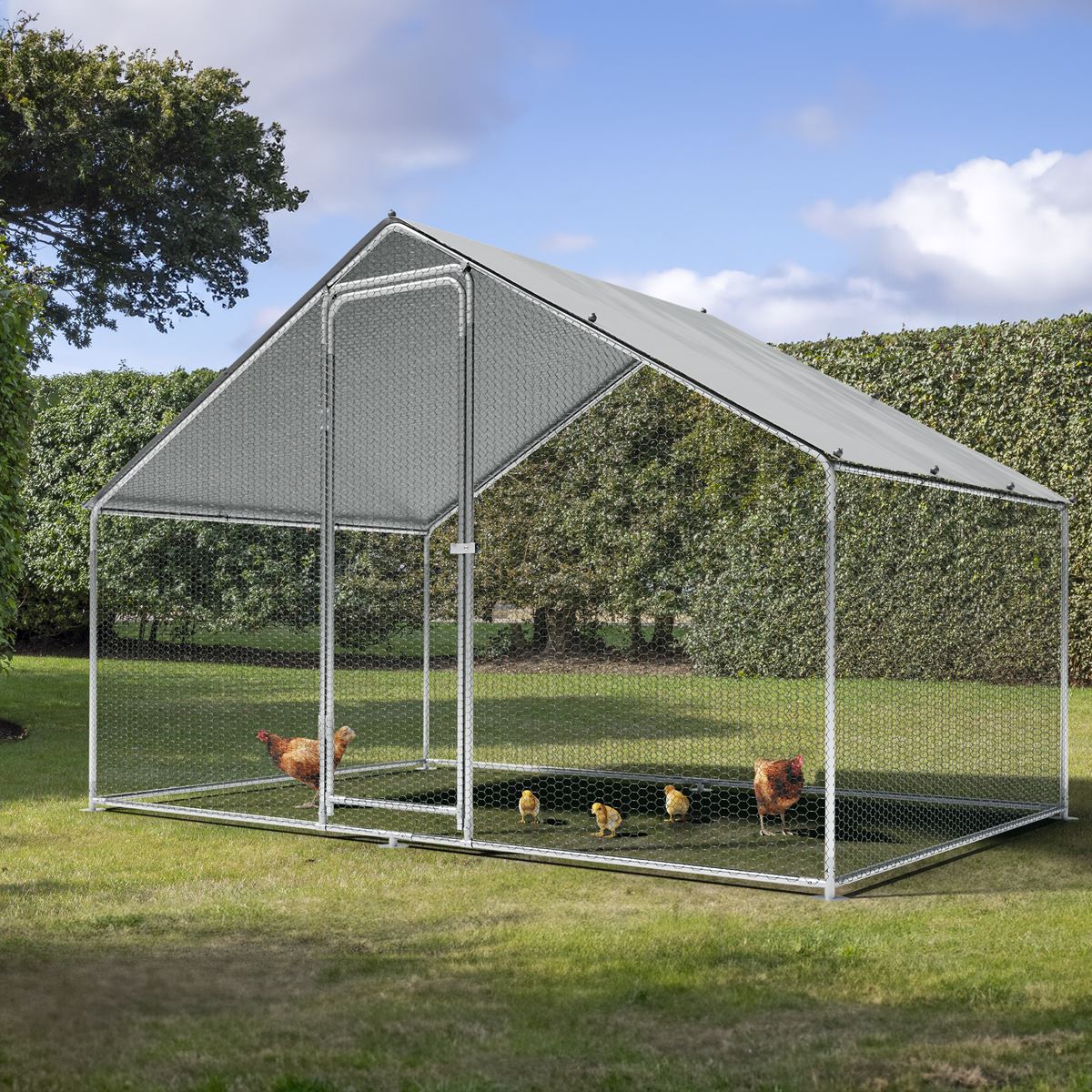 Dellonda 3x2x2m Walk-In Chicken Run, Galvanized Steel, Roof Cover, PVC Coated Chicken Wire DG278