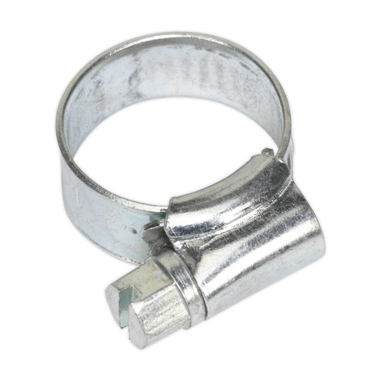 Sealey Hose Clip Zinc Plated 13-19mm Pack of 30 SHC00