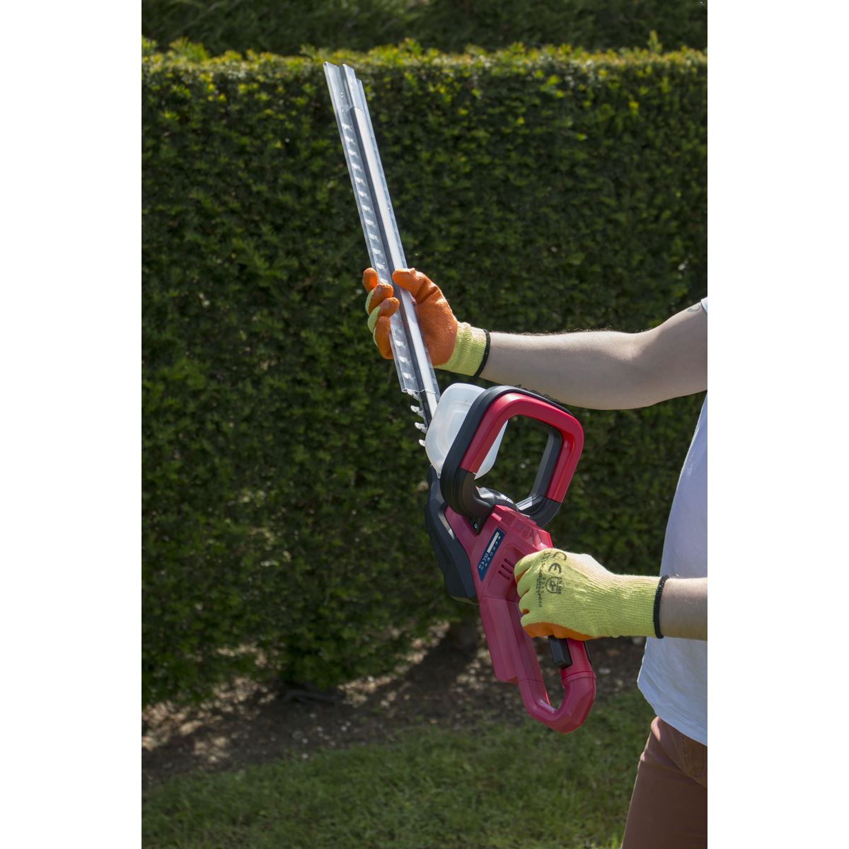 Sealey Hedge Trimmer Cordless 20V - Body Only CHT20V