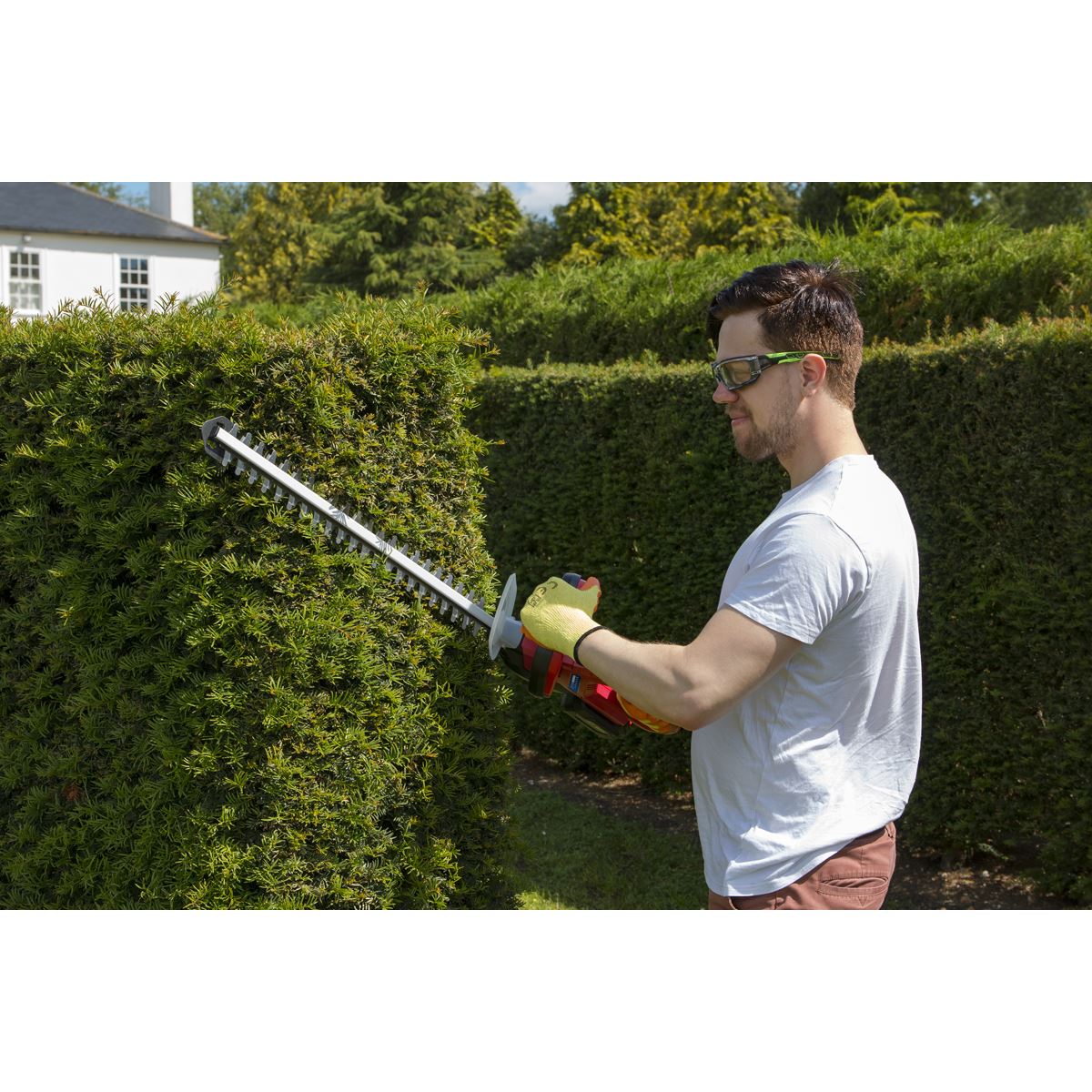 Sealey Hedge Trimmer Cordless 20V - Body Only CHT20V