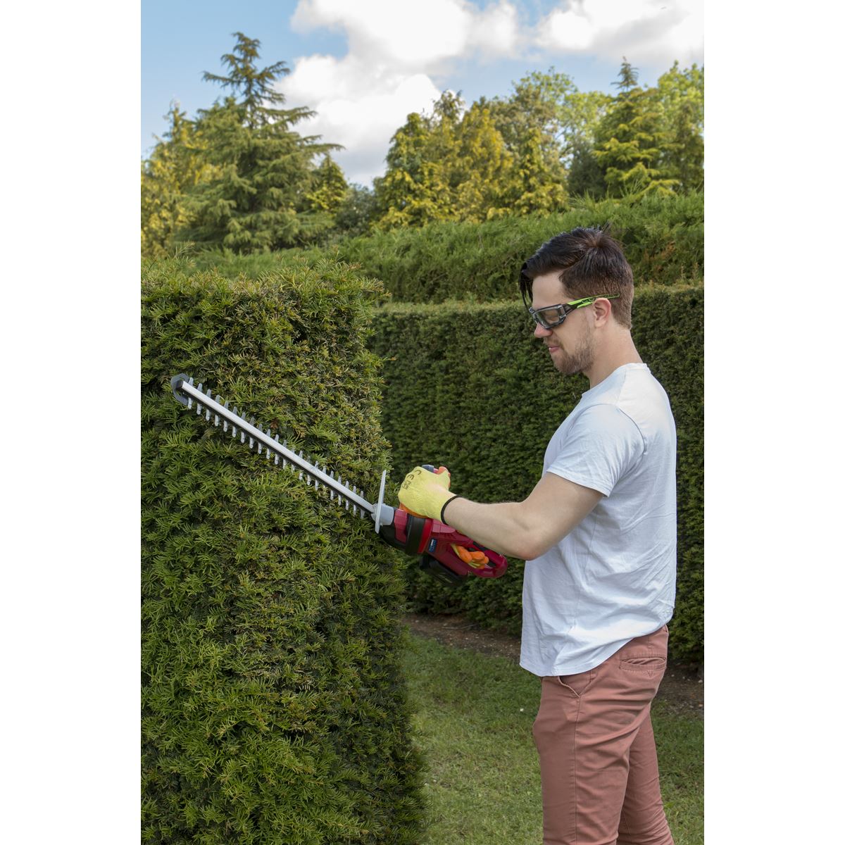 Sealey Hedge Trimmer Cordless 20V - Body Only CHT20V