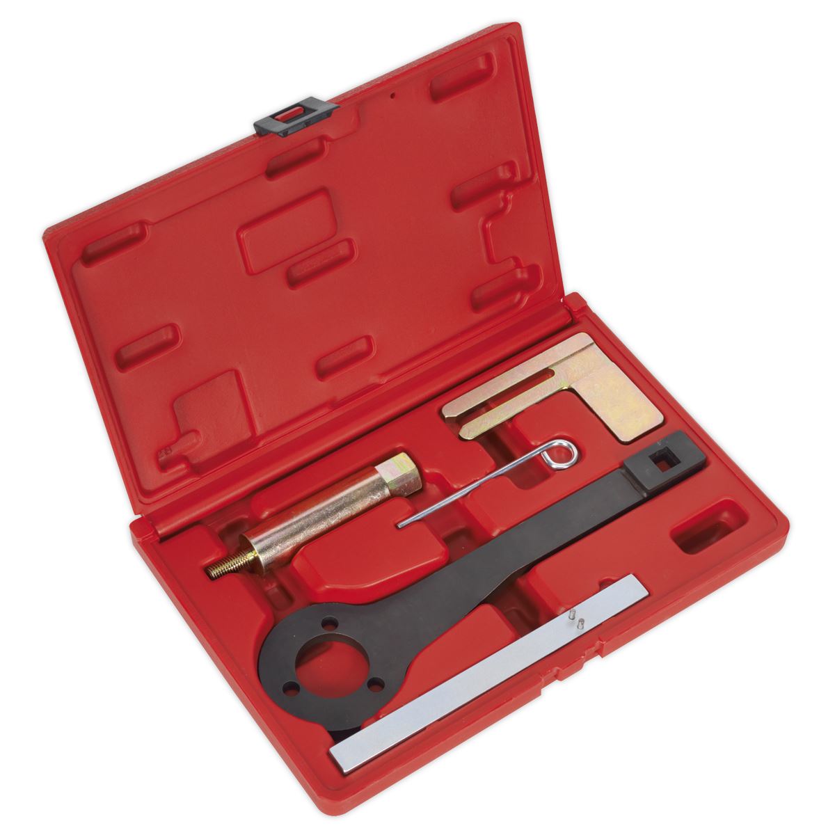 Sealey Pet Eng Balance Shaft Alignment Tool Kit - for BMW - Chain VSE6156