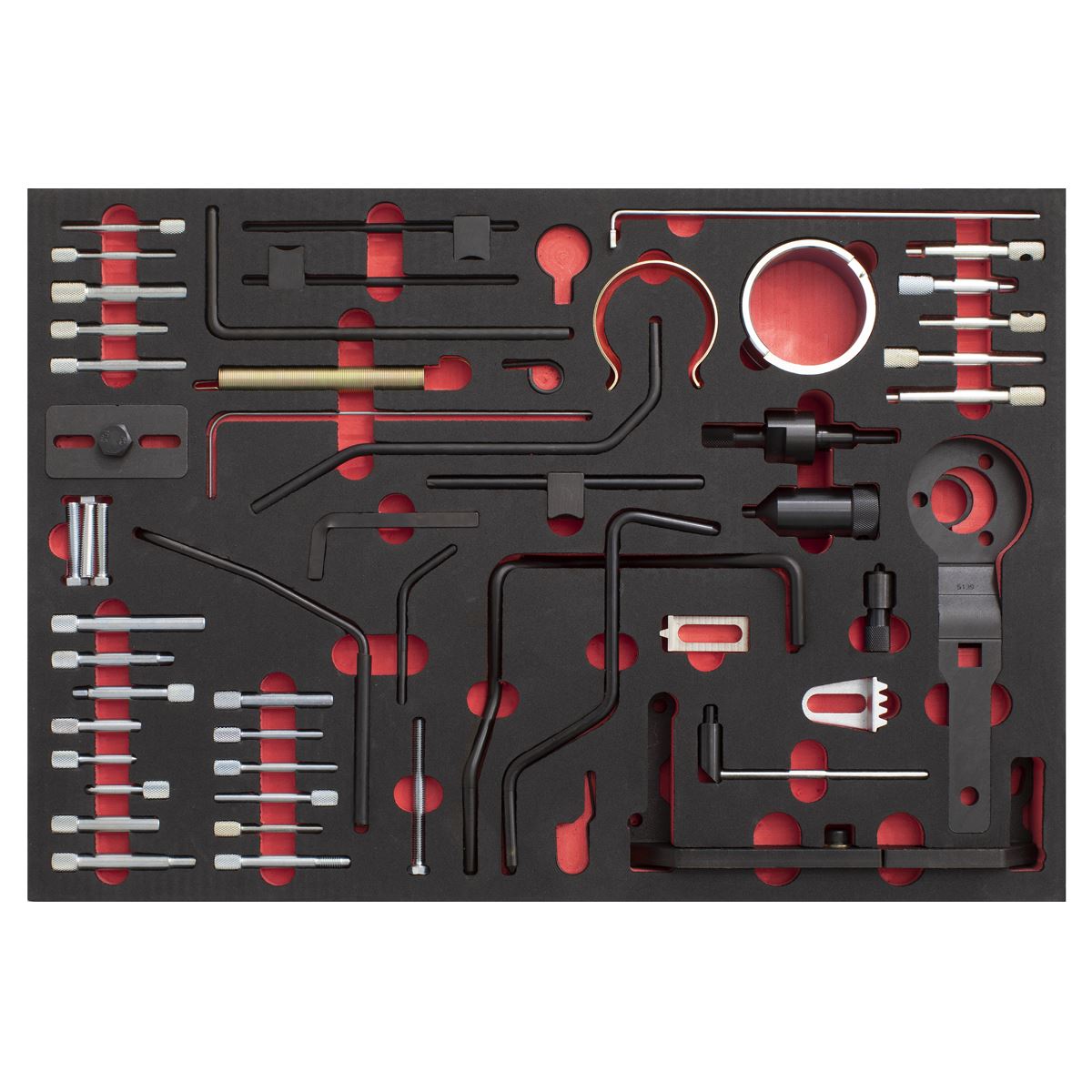 Sealey Die & Pet Master Timing Tool Kit 48pc for PSA - Belt/Chain VS5300MK