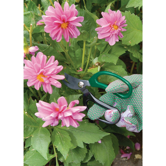 Draper Garden Scissor Set 2 Piece Gardening & House Plant Trimming Scissors - 18299