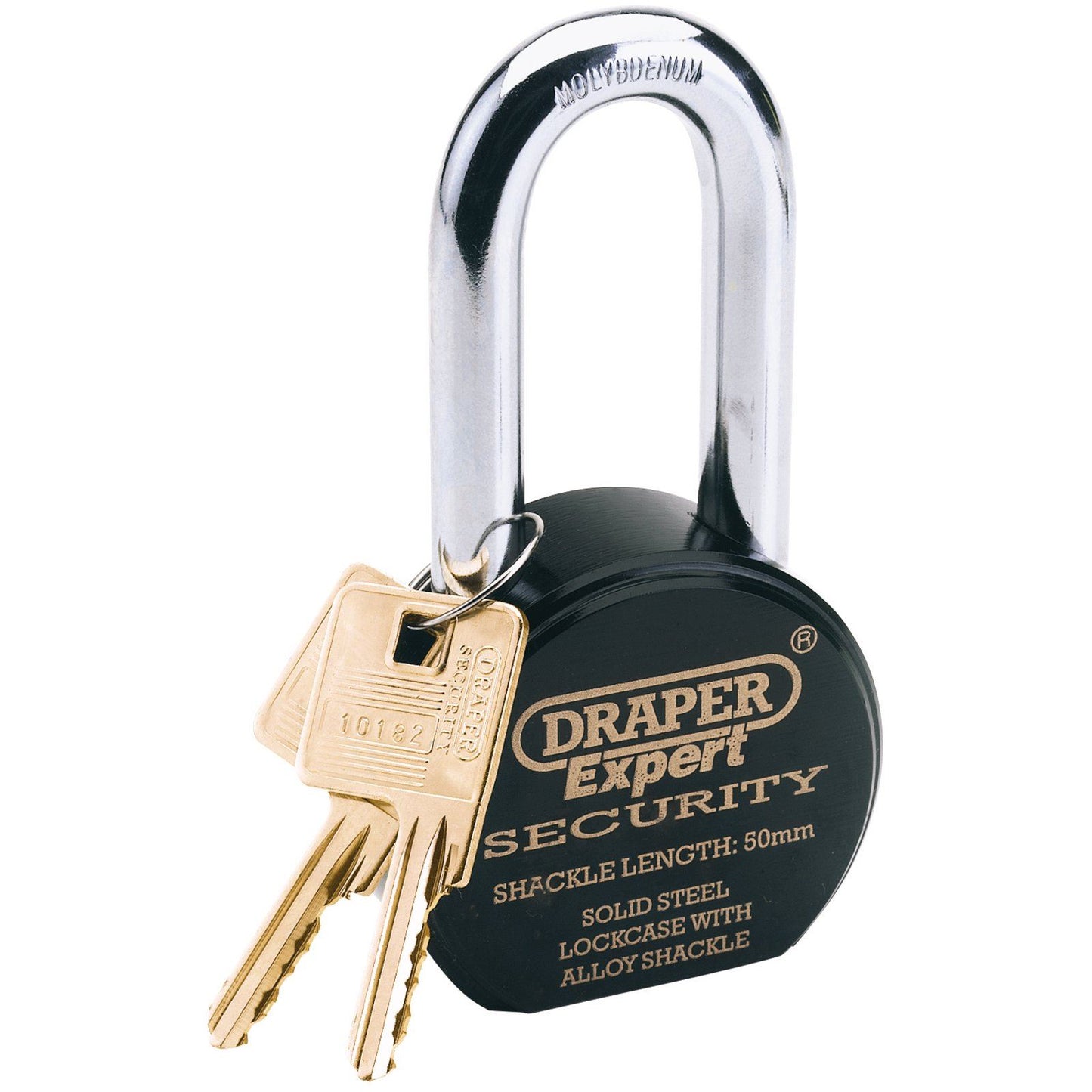 Draper Expert 63mm Heavy Duty Stainless Steel Padlock 2 Keys Shackle Length 50mm - 64207