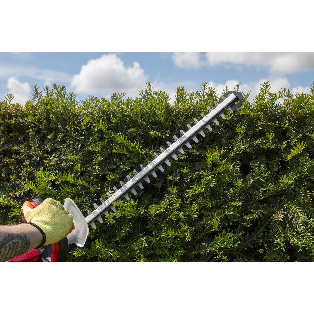 Sealey Hedge Trimmer Cordless 20V - Body Only CHT20V