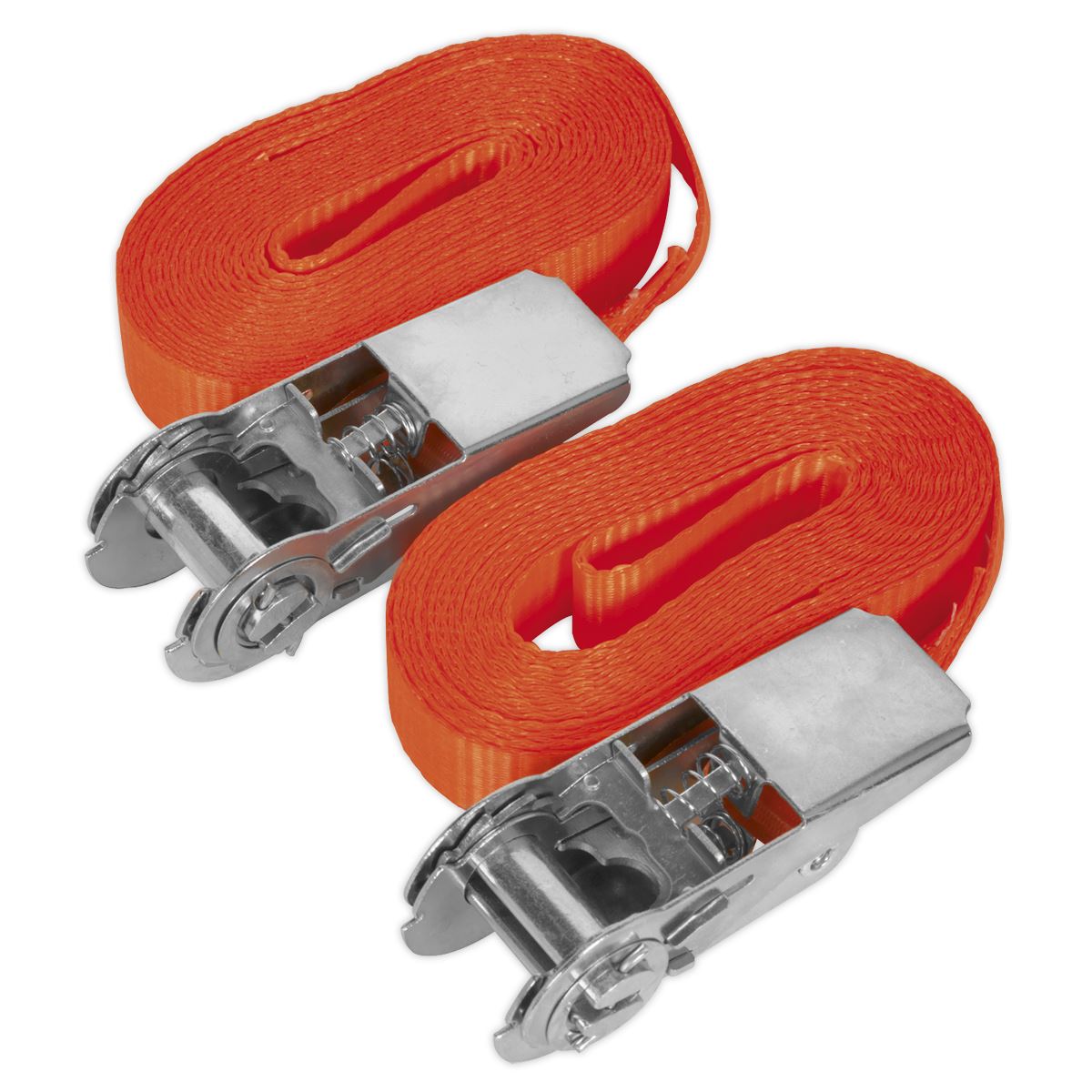 Sealey S/Securing Ratchet Tie Down 25mm x 4.5m 800kg Load - Pair TD08045E