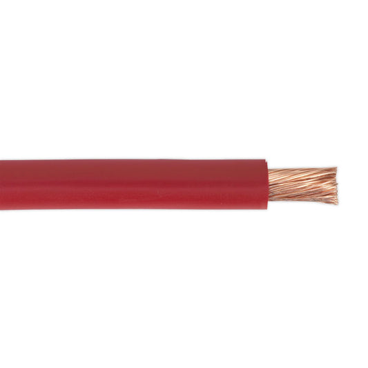 Sealey Automotive Starter Cable 196/0.40mm 25mm 170A 10m Red AC25SQRE