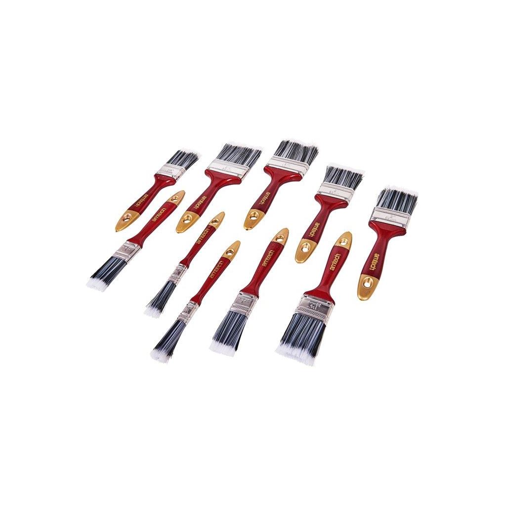 Amtech 10 Piece Paint Brush Set - S3940