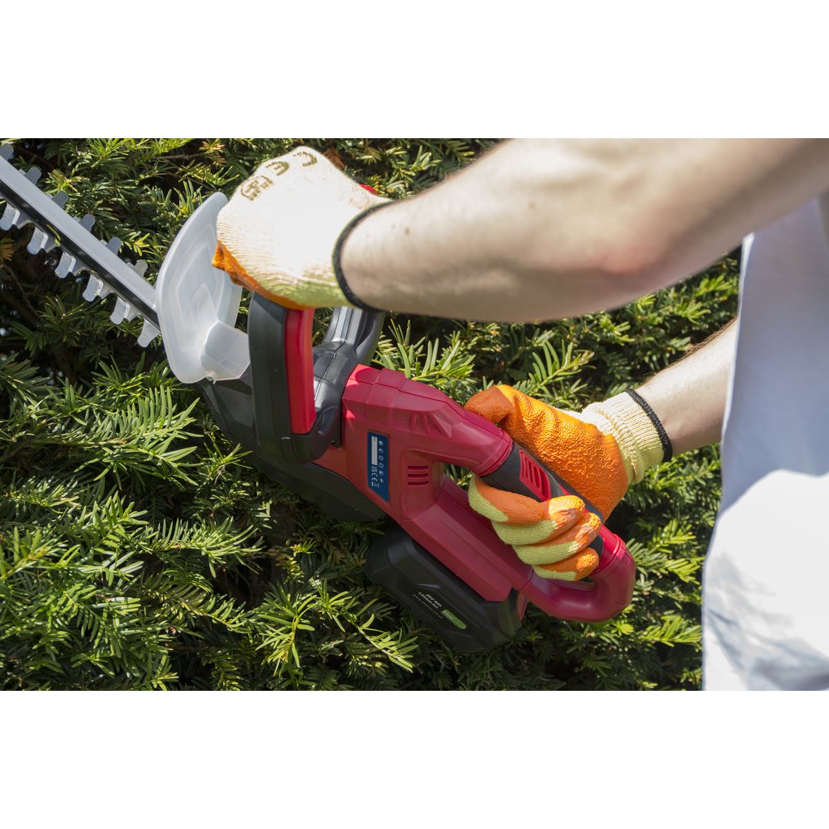 Sealey Hedge Trimmer Cordless 20V - Body Only CHT20V