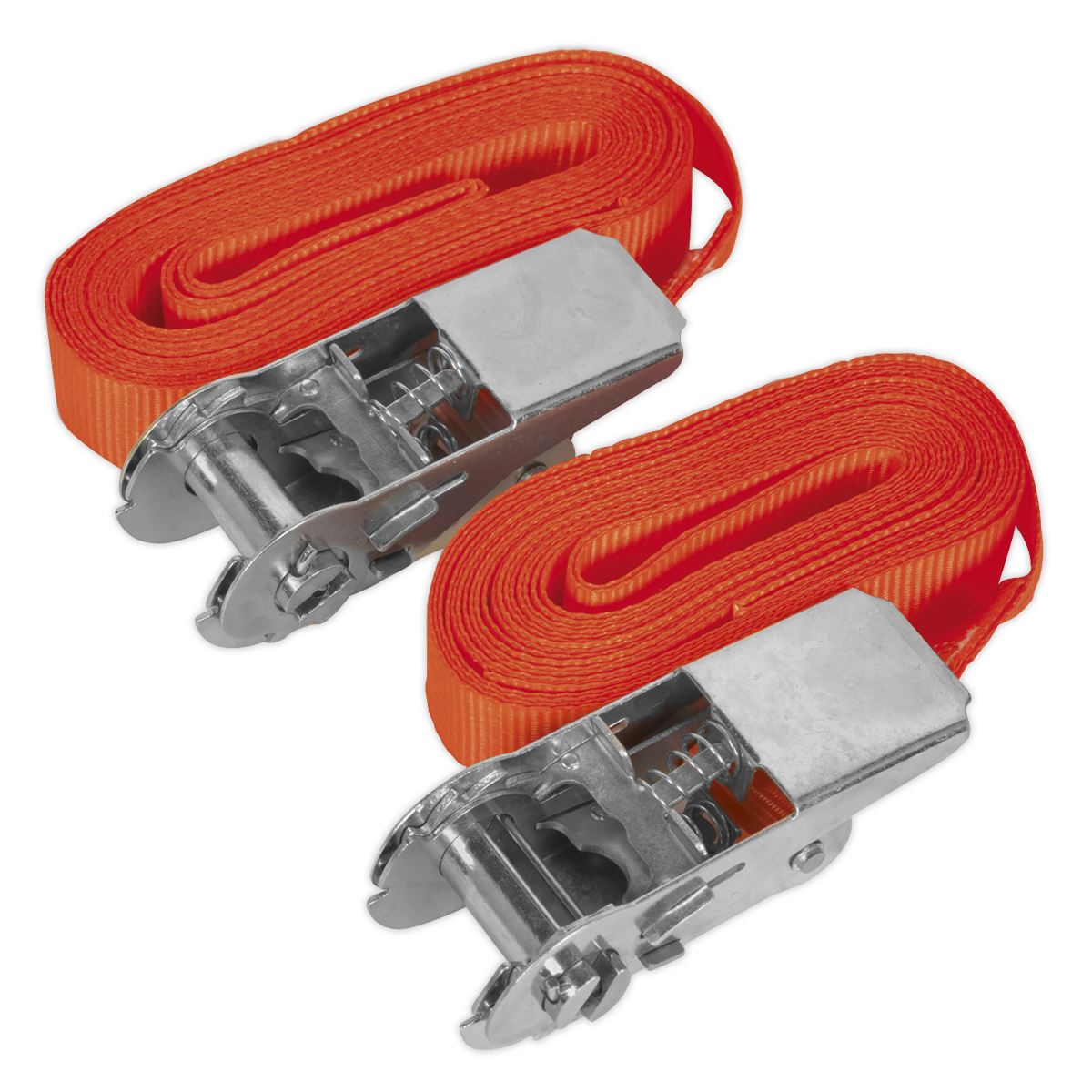 Sealey S/Securing Ratchet Tie Down 25mm x 4.5m 500kg Load - Pair TD05045E